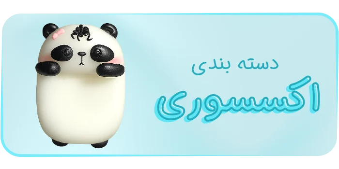 دسته‌بندی محصولات اکسسوری