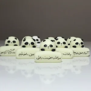 روداشبردی پاندا 🐼 | دکوری شب‌تاب و شخصی‌سازی‌شده - تصویر 2